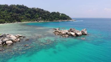 Yeşillik yakınlarındaki kayalık sahil manzarası. Geriye doğru hareket ediyor.