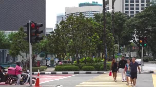Gente Cruzando Calle Usando Cruce Cebra Durante Día — Vídeo de stock
