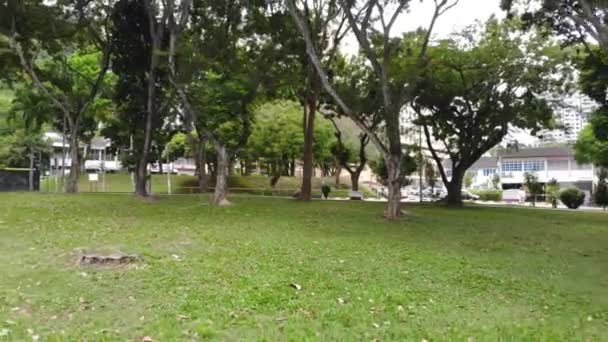 Krásný Výhled Zelené Stromy Parku Domů Pohybující Pozpátku — Stock video