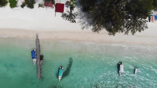 Luftaufnahme Von Booten Der Nähe Des Holzhafens Der Küste Von — Stockvideo