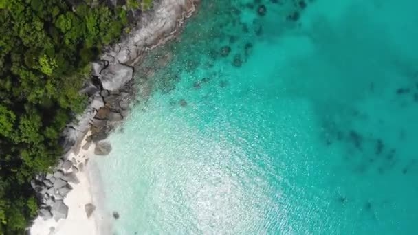 Vista Aérea Costa Turquesa Cerca Vegetación Tropical — Vídeos de Stock