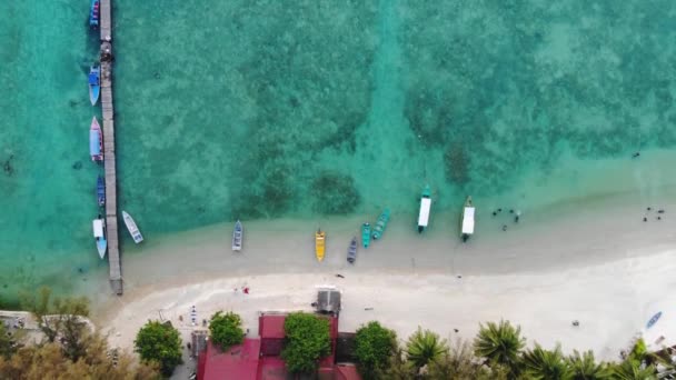 Impresionante Vista Aérea Cabañas Zonas Verdes Orilla Del Mar — Vídeos de Stock