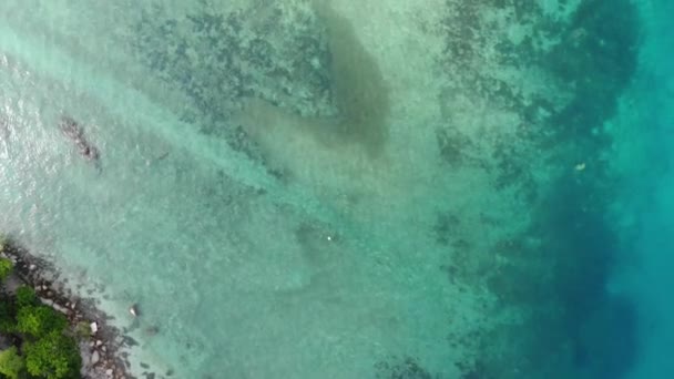Vista Olho Pássaro Água Azul Esverdeada Oceano Dia Claro — Vídeo de Stock