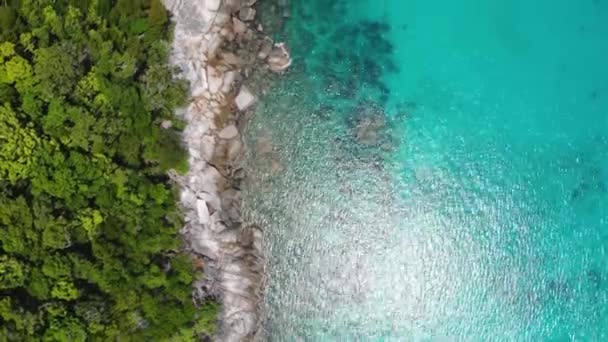 Drohnen Blick Auf Eine Tropische Insel Malaysia Vorwärts — Stockvideo