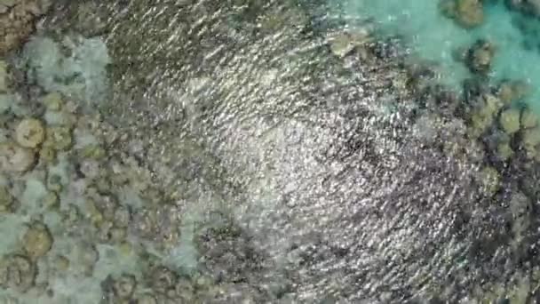 绿松石海滩清澈清澈的海水 海底有海岩 俯瞰鸟瞰 — 图库视频影像