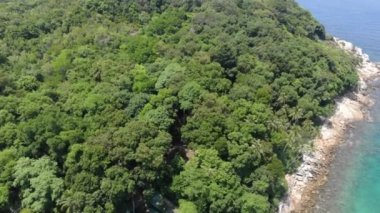 Malezya 'da deniz kenarındaki tropikal yeşil dağların güzel drone görüntüsü