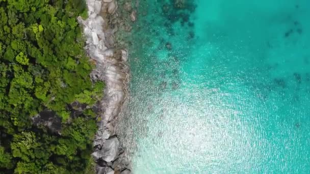 Vista Del Dron Costa Turquesa Cerca Vegetación Tropical Avanzando — Vídeos de Stock
