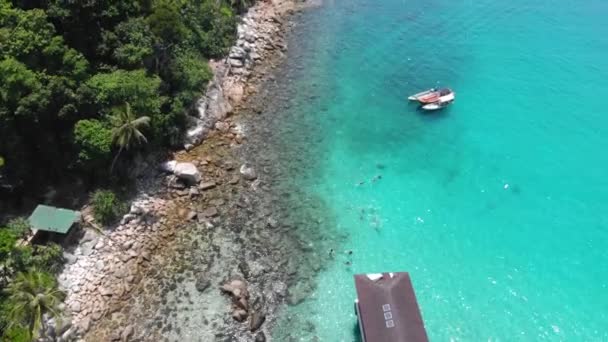 Vedere Scenică Dronelor Coastă Stâncoasă Lângă Verdeață Densă — Videoclip de stoc