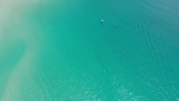 Drone View Blue Water Beach Surrounded Greenery — Stock Video