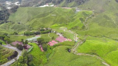 Cameron Highlands 'daki evlerin havadan görünüşü yeşilliklerle çevrili - soldan sağa hareket ediyor