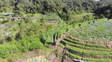 Cameron dağlık arazilerindeki güzel yeşilliklerin ve evlerin nefes kesici manzarası.