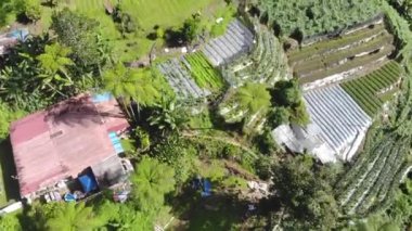 Yeşil dağlık bölgelerdeki evlerin insansız hava aracı görüntüsü