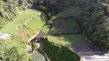 Dağlık bölgelerdeki egzotik alanların sonsuz yeşil insansız hava aracı görüntüsü