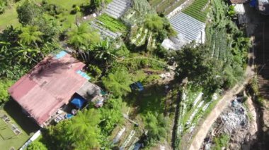 Yeşillik ve evlerin göz kamaştırıcı hava manzarası - sola doğru hareket ediyor.