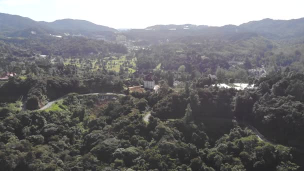 Letecký Pohled Zelené Stromy Krásné Hory Cameron Highlands — Stock video