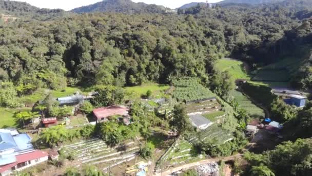 Vue Drone Verdure Belles Montagnes Dans Les Hauts Plateaux Célestes — Video