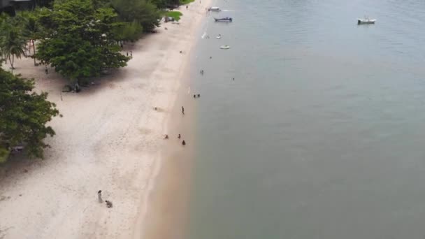 Вид Воздуха Морские Волны Пляже — стоковое видео