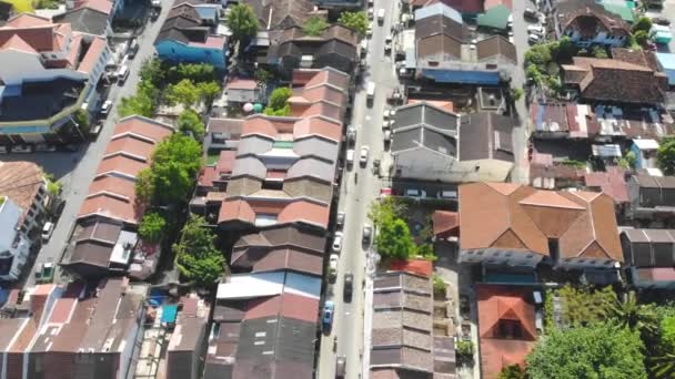 Pemandangan Udara Rumah Rumah Yang Indah Dan Pohon Pohon Dekat — Stok Video