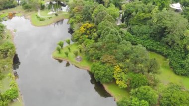 Suyun yakınındaki tropikal yeşil dağların insansız hava aracı görüntüsü