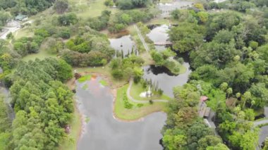 Göl kenarındaki yeşil ağaçların ve bahçenin nefes kesici drone görüntüsü