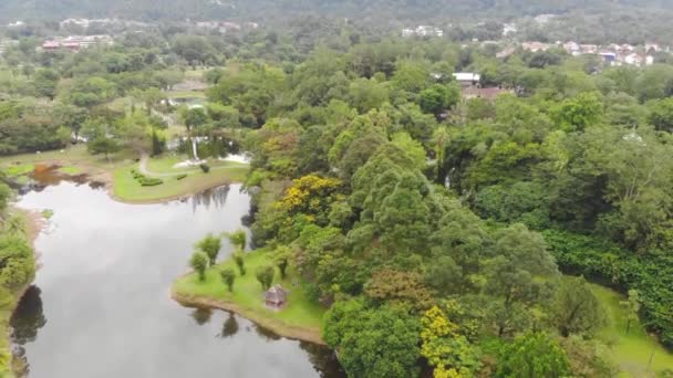 Drone Vista Vegetación Tropical Alrededor Hermoso Lago — Vídeos de Stock