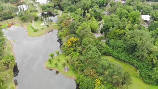 Vista Aérea Panorâmica Árvores Verdes Jardim Perto Lago — Vídeo de Stock