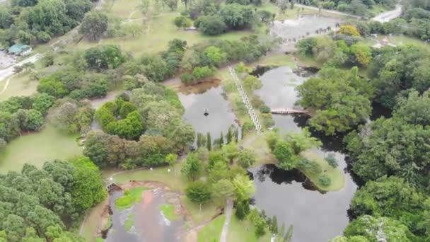 Impresionante Vista Aérea Los Jardines Del Lago Taiping Malasia Retrocediendo — Vídeos de Stock