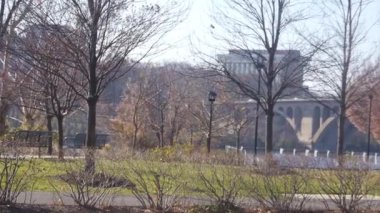 Dry Trees In Winter - Static