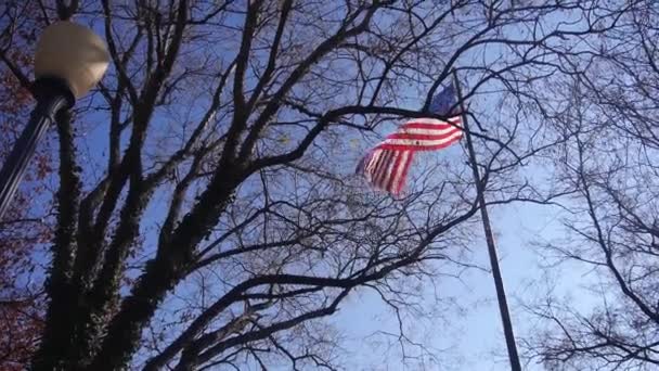 American Flag Tree Branches Black Light Static — Stockvideo