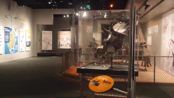 Dinosaur Skeleton Exposed Museum People Pan Right Left — Stok video