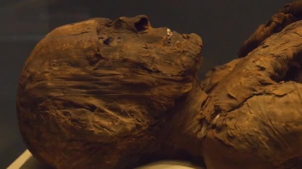 Head Mummy Laying Exposed Museum Close Static — Stock video