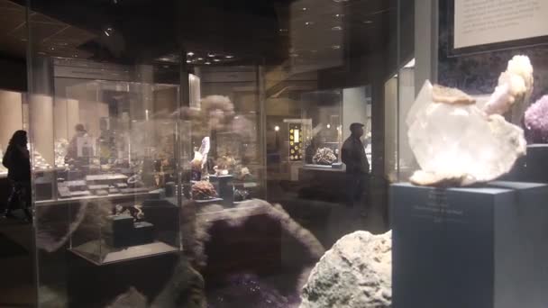People Museum Pan Right Left — Stock video
