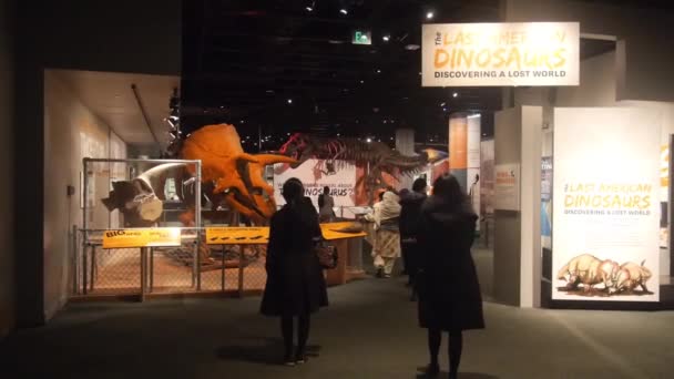 People Walking Museum Dinosaur Exposition Static — Stockvideo