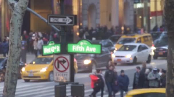 Fifth Avenue Sign Front Busy Street People Cars Static — Vídeos de Stock