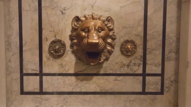 Golden Lion Face Library Wall Static — стоковое видео