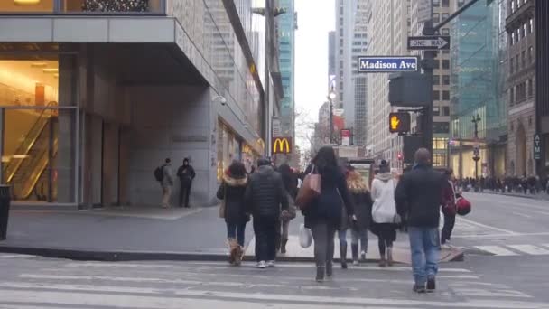 People Walking Zebra Crossing Cars Shops Static — Stok video