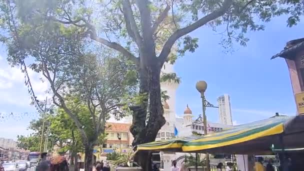 Vista Árvores Domb Mesquita Branca Uma Rua Movimentada — Vídeo de Stock