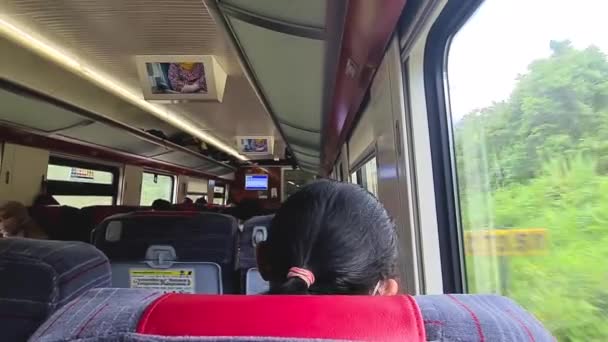 昼間に新幹線で旅行する人 — ストック動画