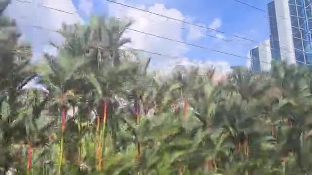 Moderne Gebouwen Palmbomen Uitzicht Vanaf Een Rijdende Trein — Stockvideo