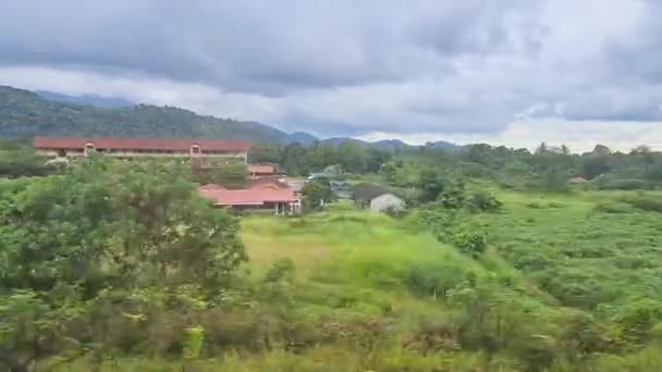 電車の中から景色の良い緑を見ている人 — ストック動画