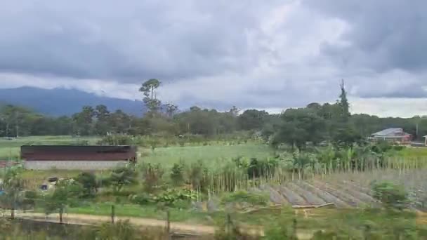 Vista Janela Trem Vegetação Cênica Dia Brilhante — Vídeo de Stock