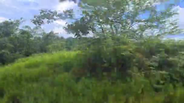 電車の窓から美しい緑の景色 — ストック動画
