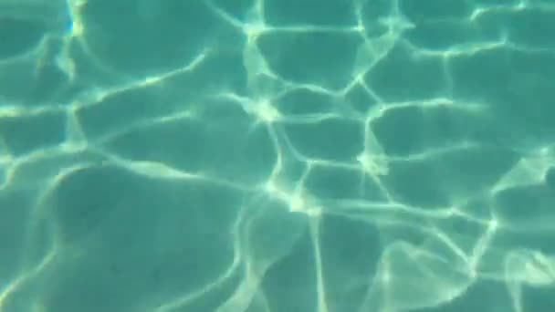 Peces Visibles Desde Superficie Agua Mar Cristalina — Vídeos de Stock