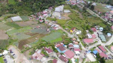 Yeşil tarlalardaki evler ve güzel manzaralar.
