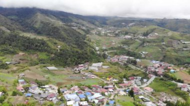 Yeşil tarlalardaki Asyalı evlerin ve güzel manzaraların insansız hava aracı görüntüsü