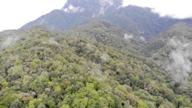 Güzel yeşil dağları kaplayan bulutların ve sislerin havadan görünüşü