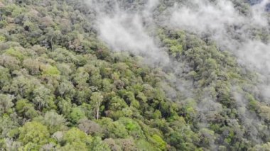 Tropikal Kinabalu Dağı üzerindeki sisli bulutların kuş bakışı görüntüsü