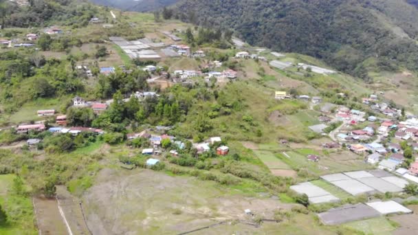 Vista Aérea Casas Residenciais Entre Floresta Verde Tropical — Vídeo de Stock