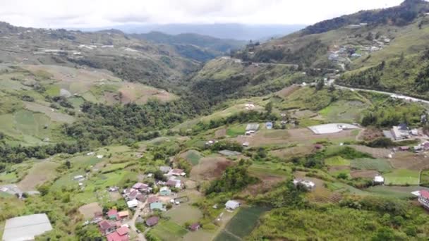 Beautiful Drone View Houses Surrounded Tropical Greenery — Stock Video