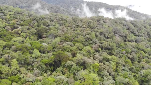 Vista Aérea Vegetación Tropical Montañas Cubiertas Niebla — Vídeos de Stock